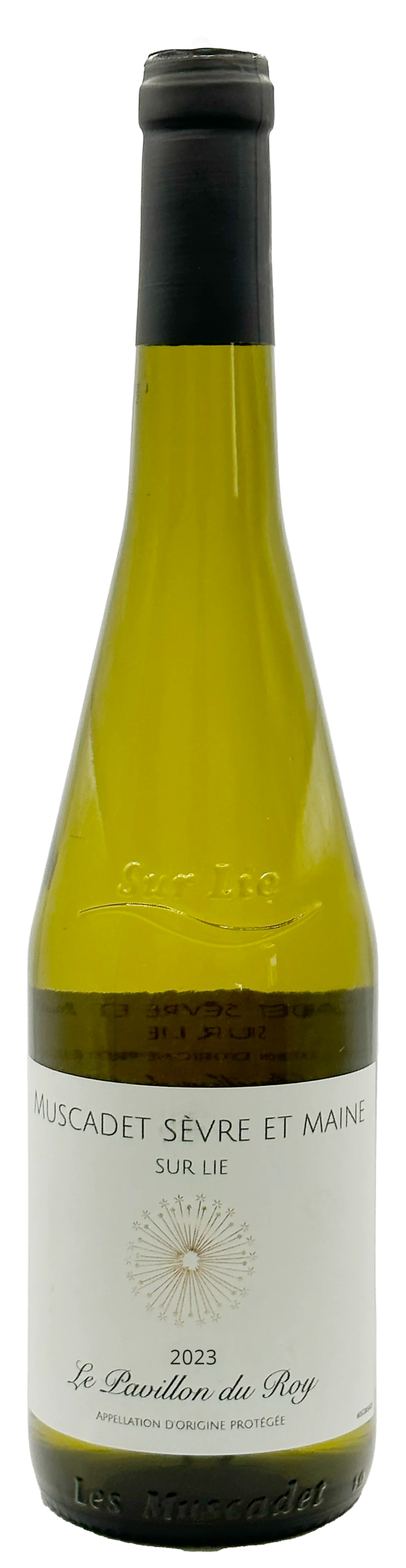 Wine bottle for 2023 vintage 